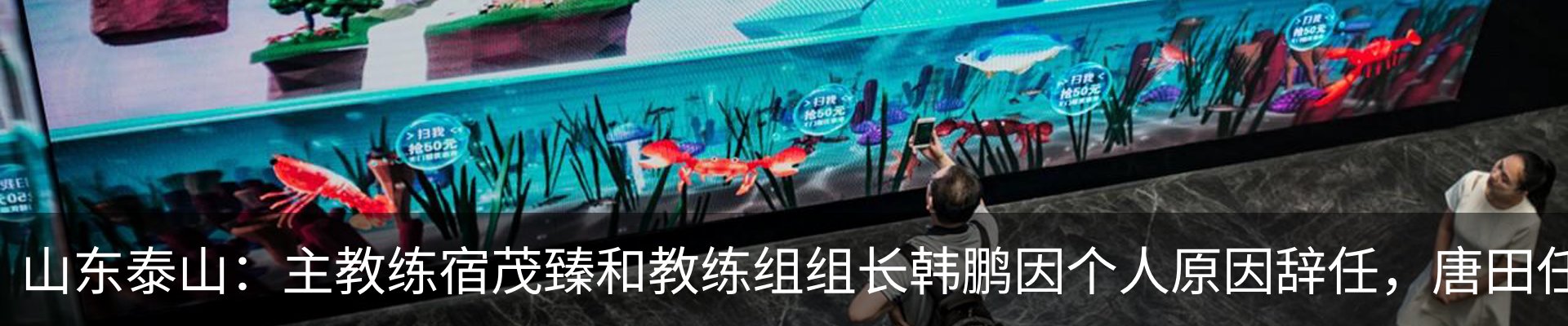 新闻中心