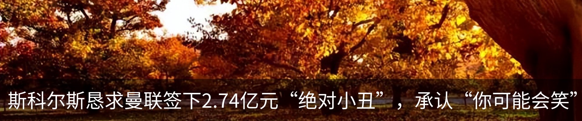 新闻中心